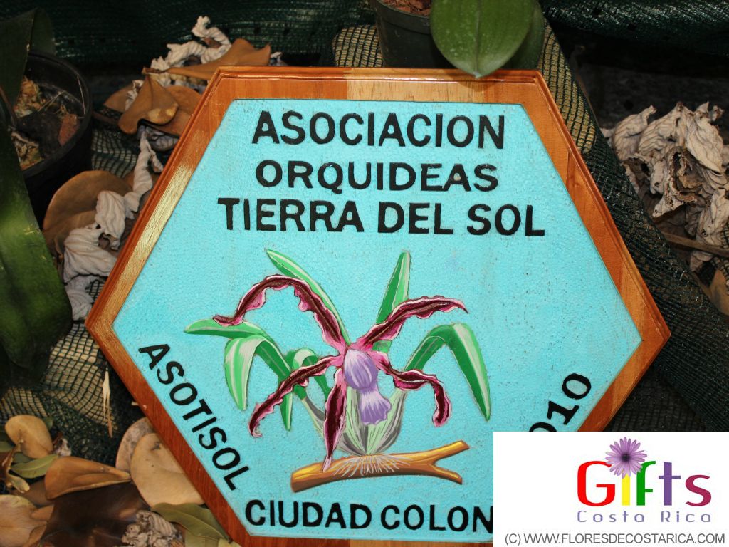 Asociacion de orquideas Tierra del Sol