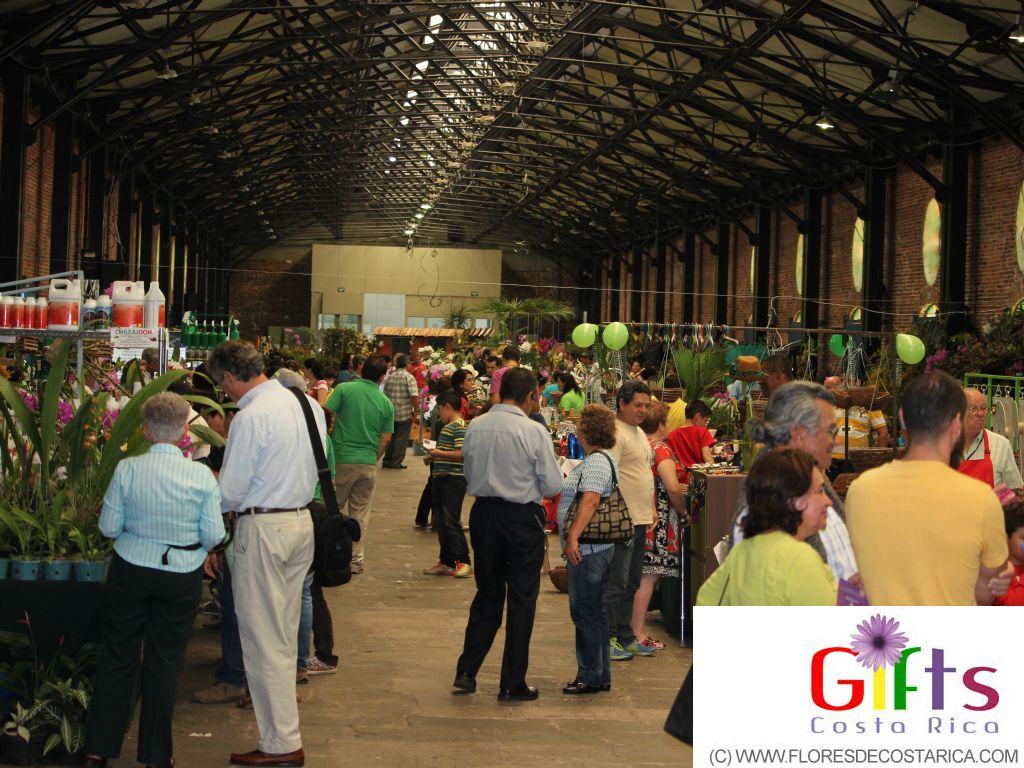 Exposicion orquideas en San Jose Costa Rica